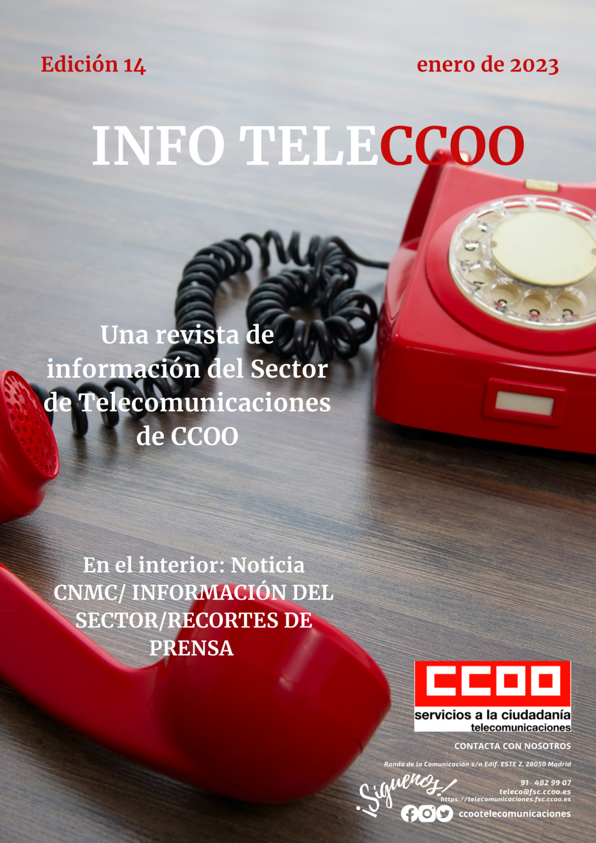 Boletín Info TeleCCOO Edición Nº14