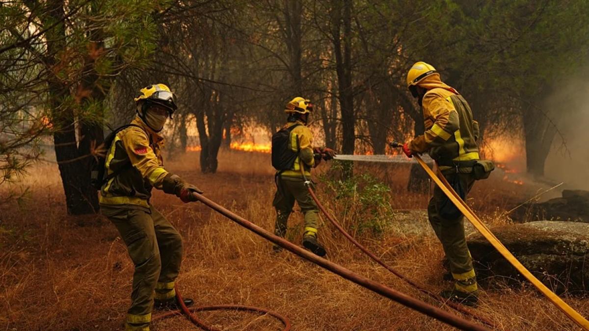 Bomberos forestales