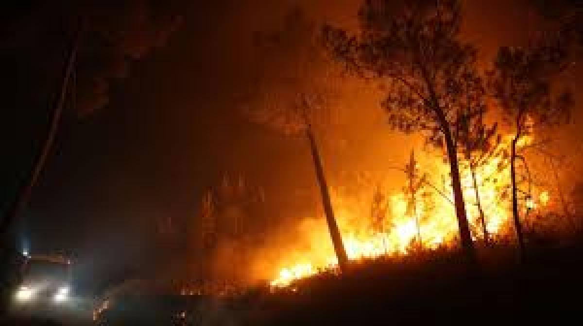 Incendios forestales